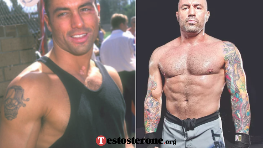 Joe Rogan steroids before and after