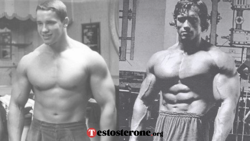 Arnold Schwarzenegger steroids before and after